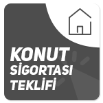 img-icon